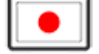 Auto Screen Capture