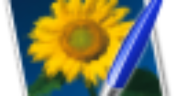 Wizardbrush