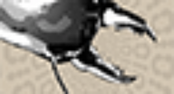 Cryptermite
