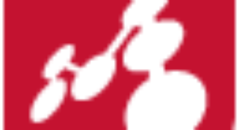 Mindomo
